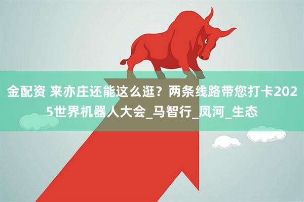 金配资 来亦庄还能这么逛？两条线路带您打卡2025世界机器人大会_马智行_凤河_生态