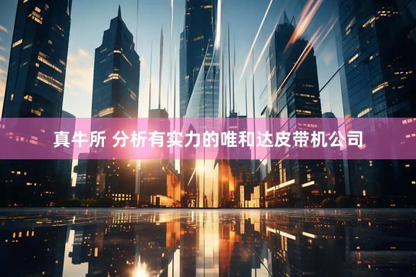 真牛所 分析有实力的唯和达皮带机公司