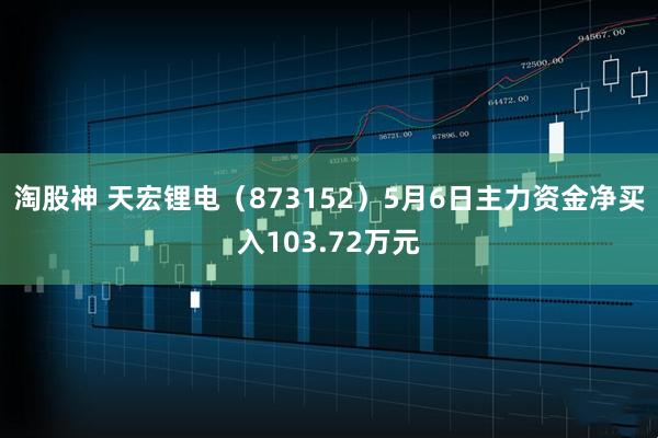 淘股神 天宏锂电（873152）5月6日主力资金净买入103.72万元